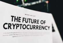 digital hub for future